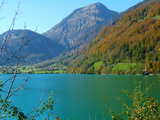 Paysage d'automne au bord du Lac de Lungern, dans les Alpes Suisses, une forêt couleur rouille et des prairies vertes sur un pan de montagne a l'extrémité sud du Lac de Lungern.