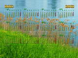 Calendario 2013 hierba, en la orilla del Rin, Huningue, Alsace, Francia