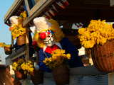 Carnival of Basel 2008, a Waggis of the clique 'die Primdoofe' with lots of mimosa flowers