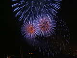 Firework on the Rhine 2005, blue flowers with red center, eve of 1st August, Basle, Switzerland