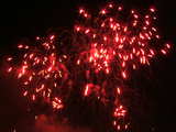 Firework on the Rhine 2005, shaggy red flowers, eve of 1st August, Basle, Switzerland