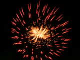 Feuerwerk auf dem Bruderholz 2006, grosse rote Blume mit schlangen Strahlen und orangefarbenem Herz, am 1. August, Basel, Schweiz