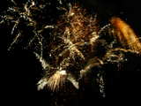 Feuerwerk auf dem Bruderholz 2006, Schönes Bild mit weiss orange und braun, am 1. August, Basel, Schweiz