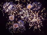 Feuerwerk am Rhein 2008, Basel, Schweiz, blau und gelbe Blumen, zersaust
