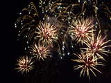 Firework on the Rhine 2008, Basle, Switzerland, golden flowers with red hearts
