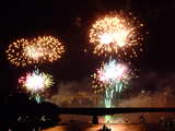 Feuerwerk am Rhein 2008, Basel, Schweiz, kurzlebender in den Rhein gesteckter Blumenstrauss