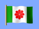 Proposed Taiwanese flag desktop wallpaper, 1996 proposed flag of Taiwan