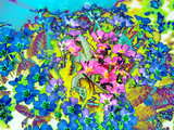 Petites fleurs peintes, à base de fleurs roses, certaines sont devenues bleues