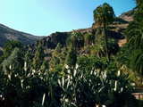 Mountain scenery, Gran Canaria