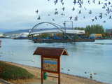 Die Dreiländerbrücke, die durch 2 Lastkähnen an Ort und Stelle transportiert wird, Sonntag 12 Nov 2006 Morgens, ein Lastkahn befindet sich fast mitten auf dem Rhein, in Huningue, Frankreich, aufgenommen, der Blick ist flussabwärts, ein Schwarm Vögel fliegt vorbei