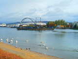 Die Dreiländerbrücke, die durch 2 Lastkähnen an Ort und Stelle transportiert wird, Sonntag 12 Nov 2006 Morgens, ein Lastkahn befindet sich fast mitten auf dem Rhein, in Huningue, Frankreich, aufgenommen, der Blick ist flussabwärts, Schwäne und Enten im Vordergrund