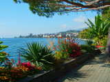 Lake of Geneva at Montreux, Switzerland, mediterranean flora at Montreux