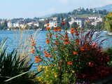 Le Lac Léman à Montreux, Suisse, Clarens, à l'est de Montreux