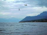 Lake of Geneva, Paddle Steamer, near Evian les Bains, France