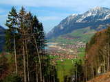 Grosse Tannen über dem Lungernsee, die Stadt Lungern, Kanton Obwalden, Schweiz, am Nordfuss des Brünigpasses, im April