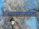 Neujahr 2008 Wallpaper, eine Strassenlaterne und ein Reif bedeckter Baum