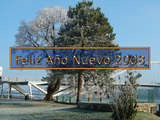 Neujahr 2008 Wallpaper, die Dreiländerbrücke und Reif bedeckte Bäume