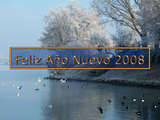 Neujahr 2008 Wallpaper, der Rhein und Reif bedeckte Bäume