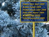 Fonds d'écran du Nouvel An 2009, épaisse couche de givre près du Rhin
