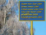 New Year 2009 wallpaper, tree with white frost near the river Rhine
