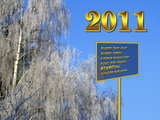 New Year 2011 wallpaper, trees with white frost near the river Rhine
