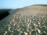 The Great Dune of Pilat, french atlantic coast, on the left of the dune is the pinewood of the Landes