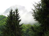 Les Pyrénées, dans la brume matinale, près Les Eaux-Bonnes, Pyrénées atlantiques, France
