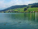 Le Lac de Sarnen, Canton d'Obwalden, Suisse, Wilen sur la rive ouest et quelques canards sur le lac