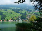 Der Sarnersee, Kanton Obwalden, Schweiz, das Schilf am Ufer, Kirchhofen und Ramersberg westlich von Sarnen