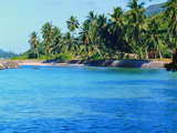 Seychelles, main island Mahe, tropical beach with coconut palms