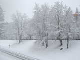 Heavy snowfall in March, taken after 8 hours, how will it be after twice that time?