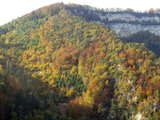Au nord de St-Wolfgang, paysage d'automne, dans le Jura Suisse