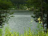 Lac Titisee, en Forêt Noire, Allemagne