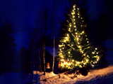 Sapin de Noël illuminé, dans les Alpes Suisses, de nuit