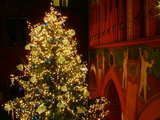 Sapin de Noël illuminé,  avec des milliers de petites lumières, boules brillantes et souhaits en plusieurs langues, cour intérieure de l'Hôtel de Ville, place du marché à Bâle, Suisse
